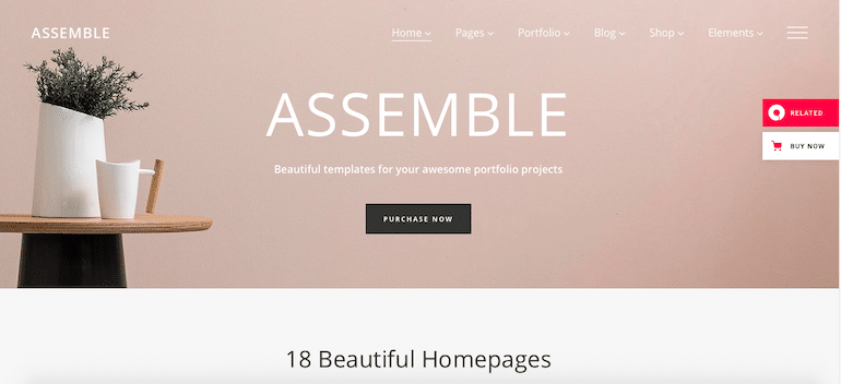 assemble best wordpress themes