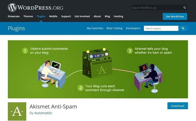 Akismet Anti Spam WordPress plugin