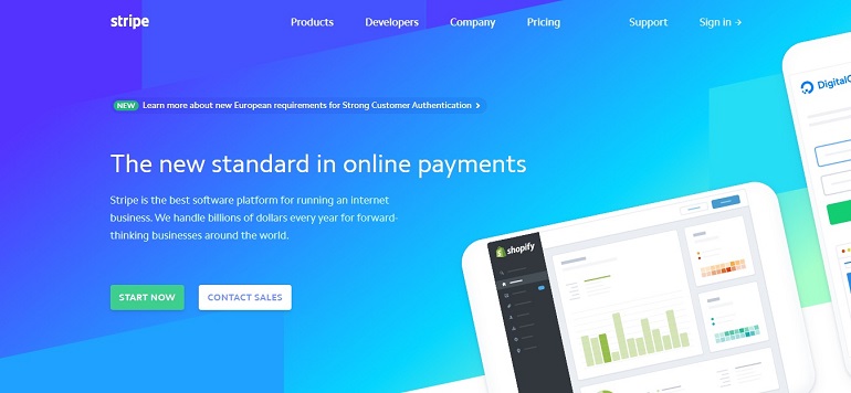 Stripe online payment processing system