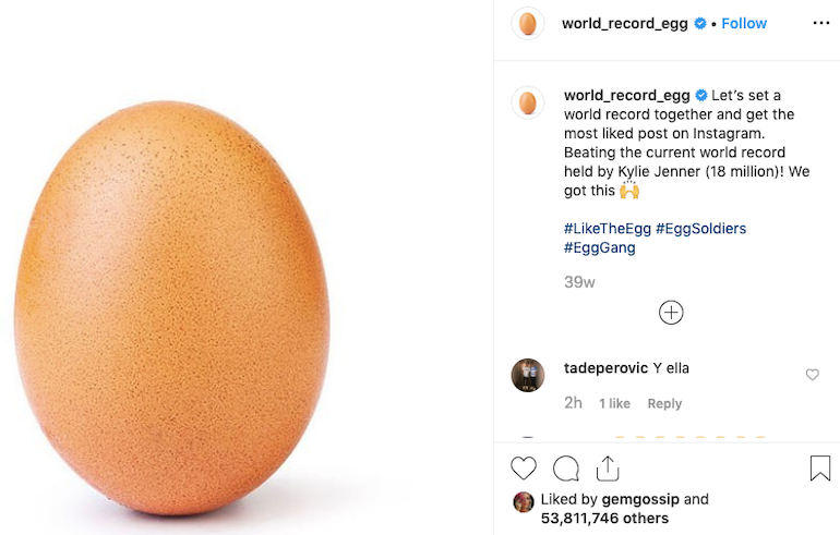 world-record-egg