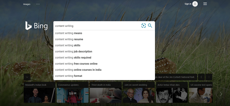 Bing auto suggestions