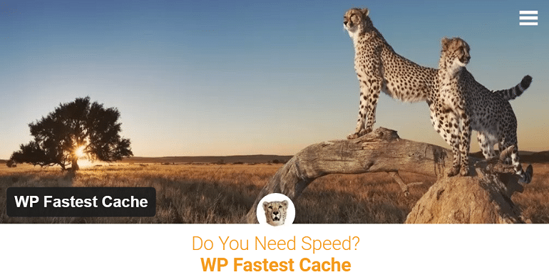 wp-fastest-cache-homepage